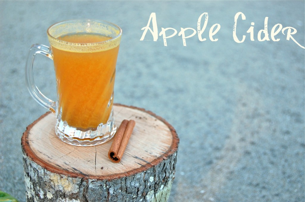 Apple Cider from Scratch by Amanda's Apron