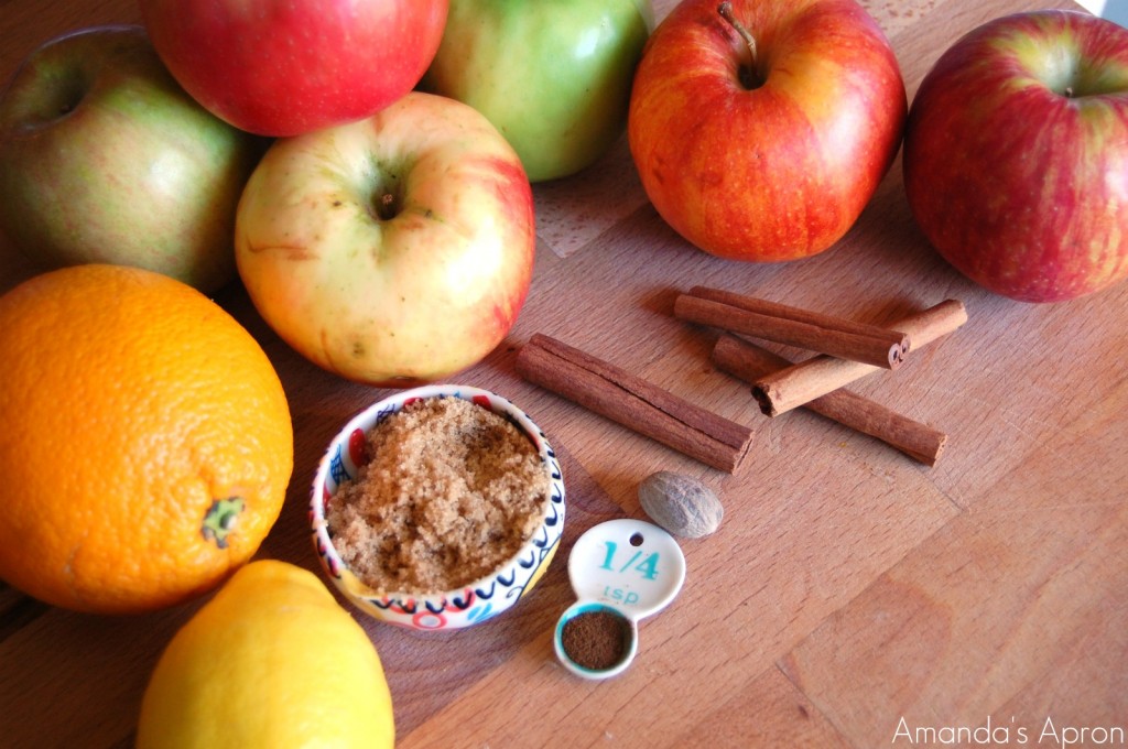 Ingredients for Homemade Hot Apple Cider